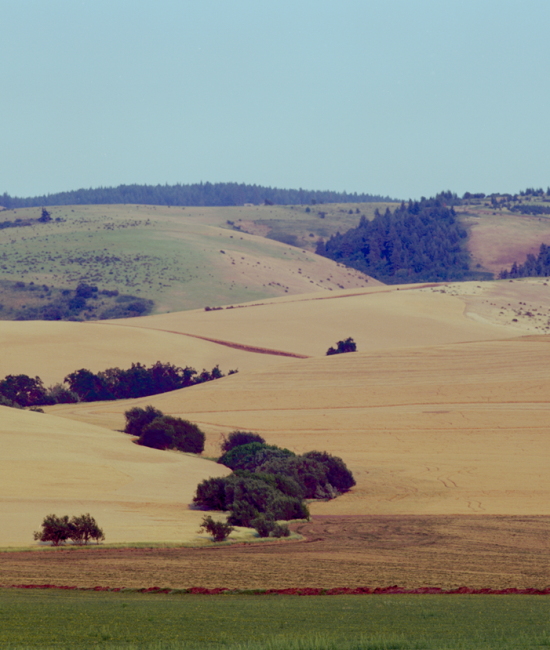 20150909-211327-jkk-01 1