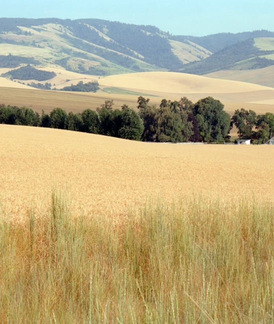 20151207-154854-jkk-02 1